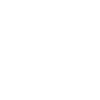 Pizza slice