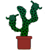 SUCCULENTS CACTI CACTUS PLANTS SURF