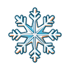Snowflake Snow Icon