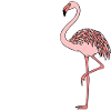 Flamingo Foot Down Funny Design