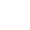 Rugby Lion
