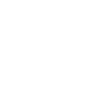 Fencing Fencer