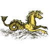 Hippocampe