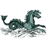 Hippocampe