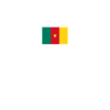 African Flag - Cameroon