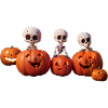 Pumpkin Kids