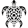 tortue