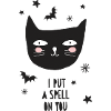 Black Halloween Cat