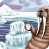 Walrus Climate Change