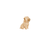 Heartbeat Shar Pei