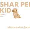 Shar Pei Kid Definition
