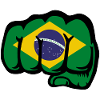 Brazil Flag Hand Fist