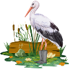 Stork in rubber boots