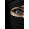 oeil espion