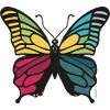 Vibrant rainbow butterfly