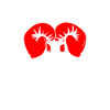 Boxing Jab Cross Hook