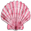 Pink scallop