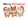 Hamsters Christmas Winter Animals Hamsters