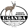 Uganda - Antelope
