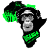 Uganda - Schimpanse