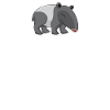 Tapir