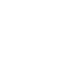 Tapir