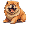 Hund Chow Chow