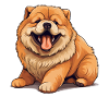 Dog Chow Chow