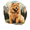 Hund Chow Chow
