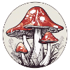 Toadstools / fly agaric
