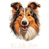 Dog Collie