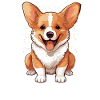 Dog Corgi