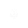 Tier Waldtier Wolf
