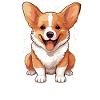 Hund Corgi