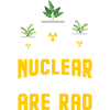 Nuclear Power Nuclear Technology