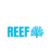 Reef Aquarium