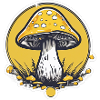 yellow mushroom / yellow mushroom