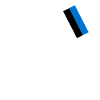 Estonia Bigfoot