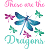 Dragonfly Dragonflies Insects Nature