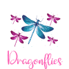Dragonfly Dragonflies Insects Nature