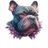 American Bully Mom