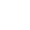 Scout