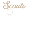Boy Scouts Scouts Honor