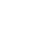 Bonsai Tree Sun