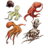 Exploring Fascinating Octopus Species