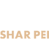 Coffee And Shar Pei