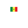 African Flag - Senegal