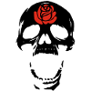 Le crâne noir et la rose