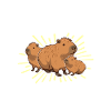 Dictons Capybara