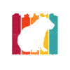 Capybaras